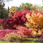 parco giardino sigurtà